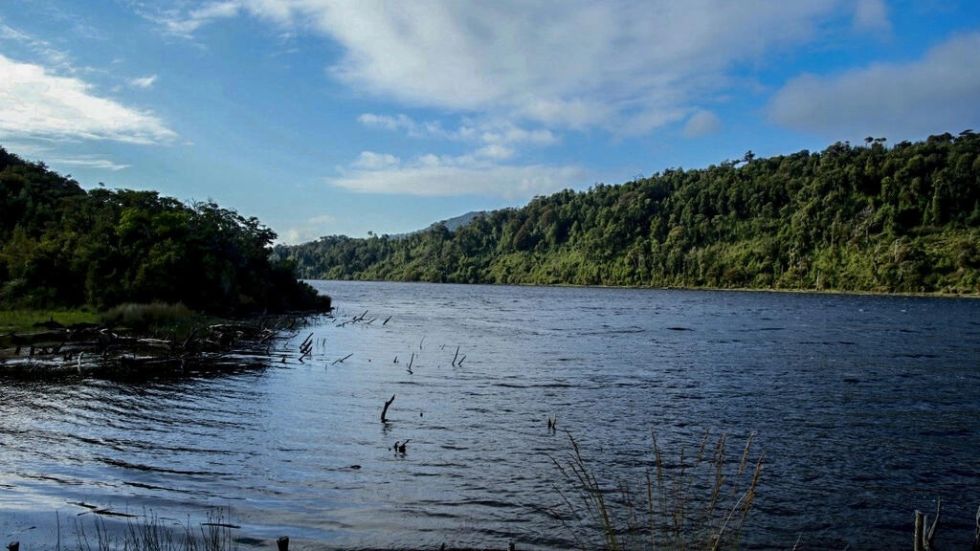 Chile crea un santuario para proteger un humedal en el Archipiélago de Chiloé