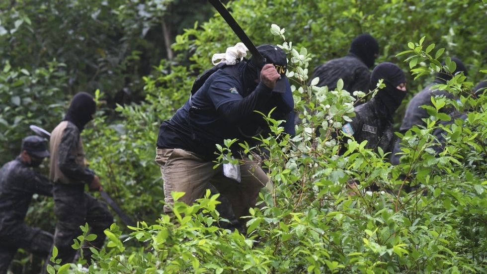 Militares desplegados en Honduras para evitar que se convierta en un país productor de coca