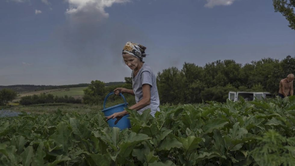 La agricultura en primera línea de fuego en el este de Ucrania