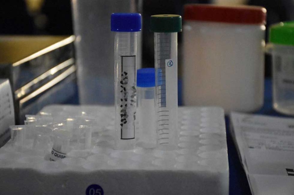 Ministerio de Salud descarta escalada de casos de viruela del mono e intensifica rastrillajes para detectarlos