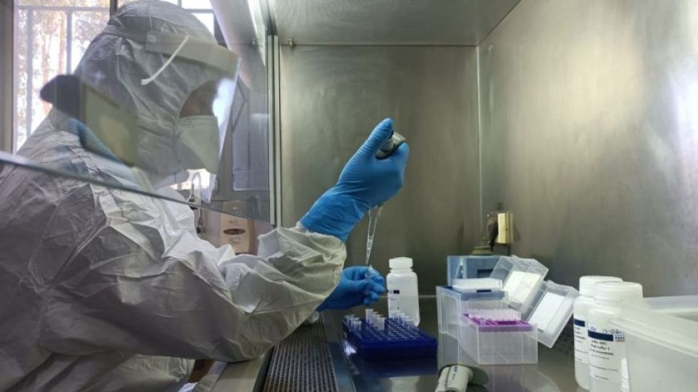 Bolivia supera los 60 casos de viruela del mono