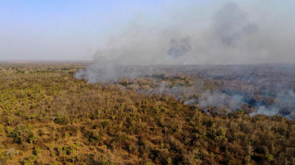 Incendios forestales en Bolivia han alcanzado este año a casi 300.000 hectáreas