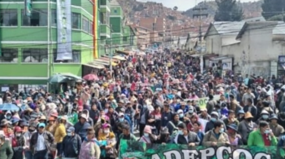 Adepcoca cambia de estrategia: marchará desde Chulumani, exige cierre del mercado "ilegal"