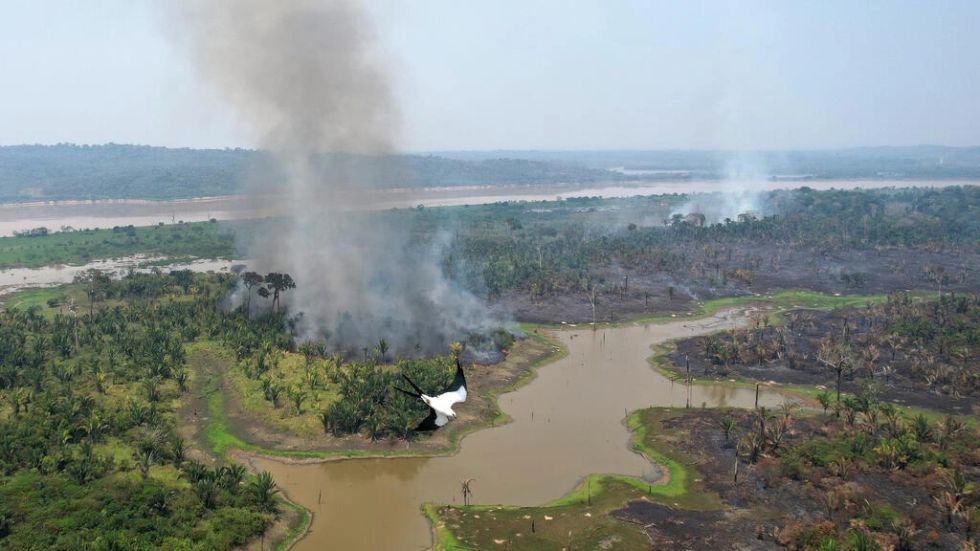 La Amazonia arde en la nueva "frontera de la deforestación"
