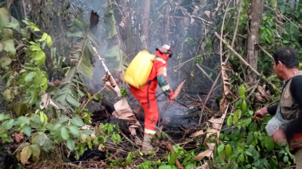 ¡Desesperación!, hace 10 días arde el parque Iténez en el Beni, piden ayuda al Gobierno