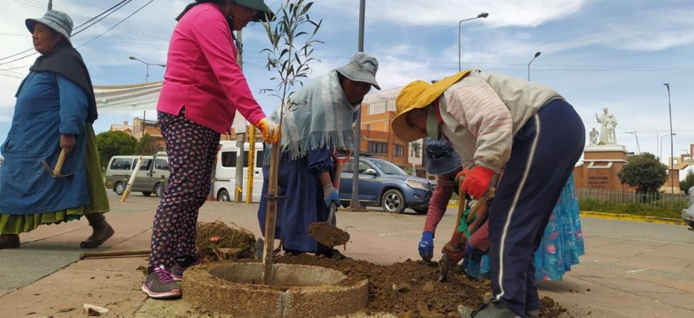 La Alcaldía de El Alto afirma que hay un árbol por cada 61 habitantes en la ciudad