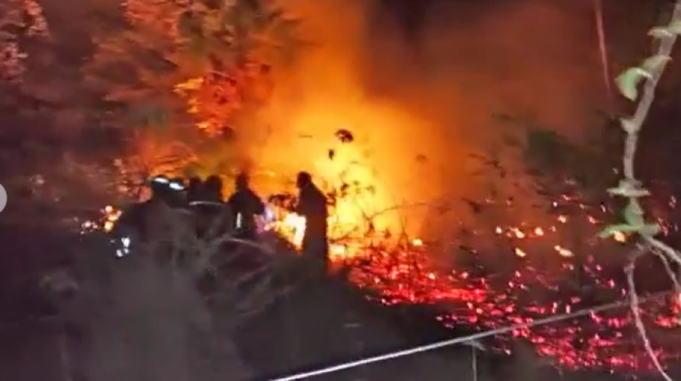 Exigen al Gobierno asumir medidas para que incendios no afecten reservas naturales