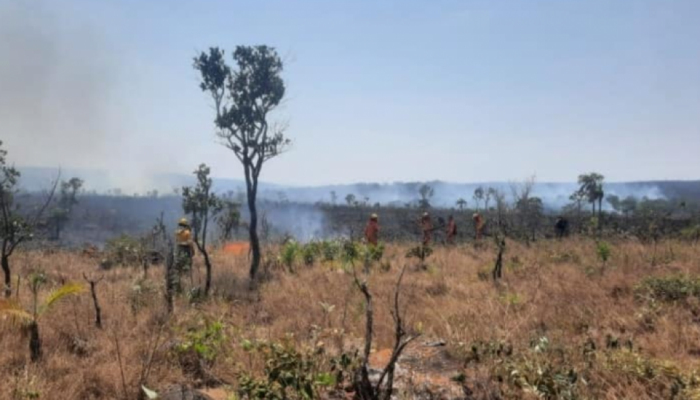 Incendios arrasan con 854.724 hectáreas de bosque en cuatro departamentos