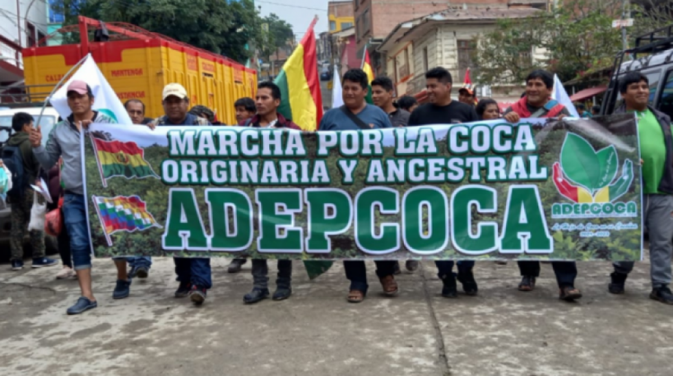 Justicia niega acción de libertad en el caso de los dirigentes investigados de Adepcoca