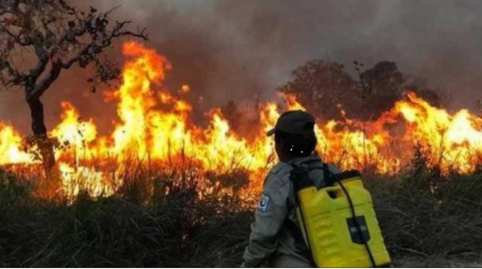 Viceministro apunta a ganaderos como principales responsables de los incendios forestales