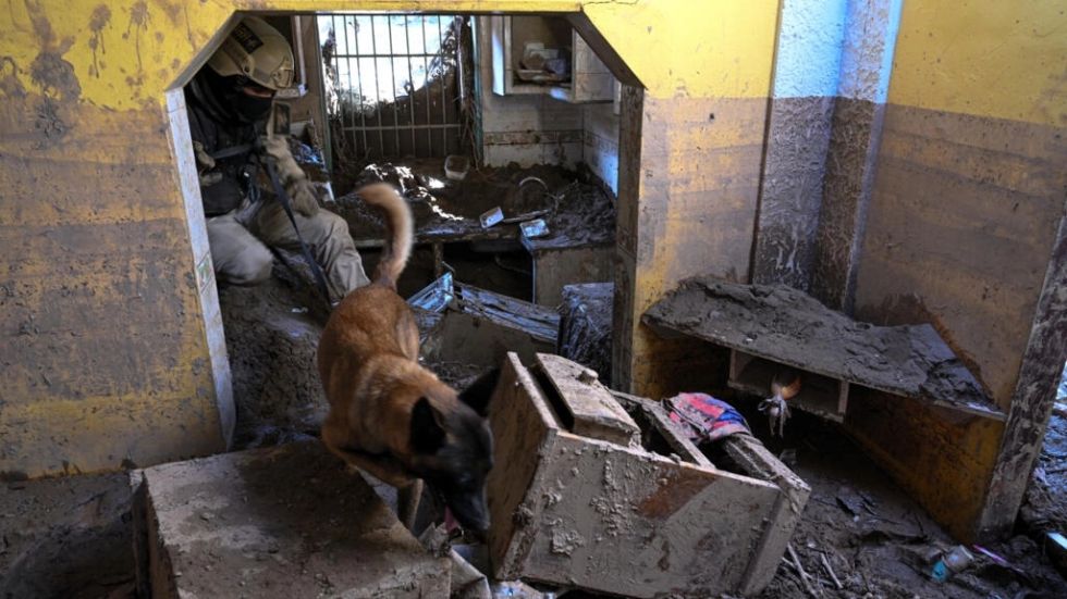 Hades, Necro y Amigo, los perros que buscan cadáveres en deslave de Venezuela
