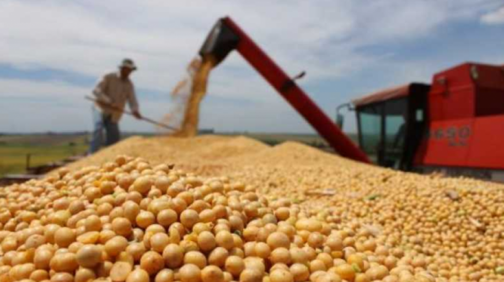 Anapo aclara que abastece al mercado interno con sólo el 20% de su producción