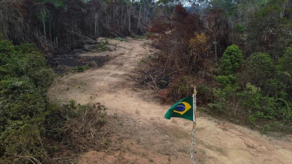 Brasil registra el peor octubre en deforestación desde 2015