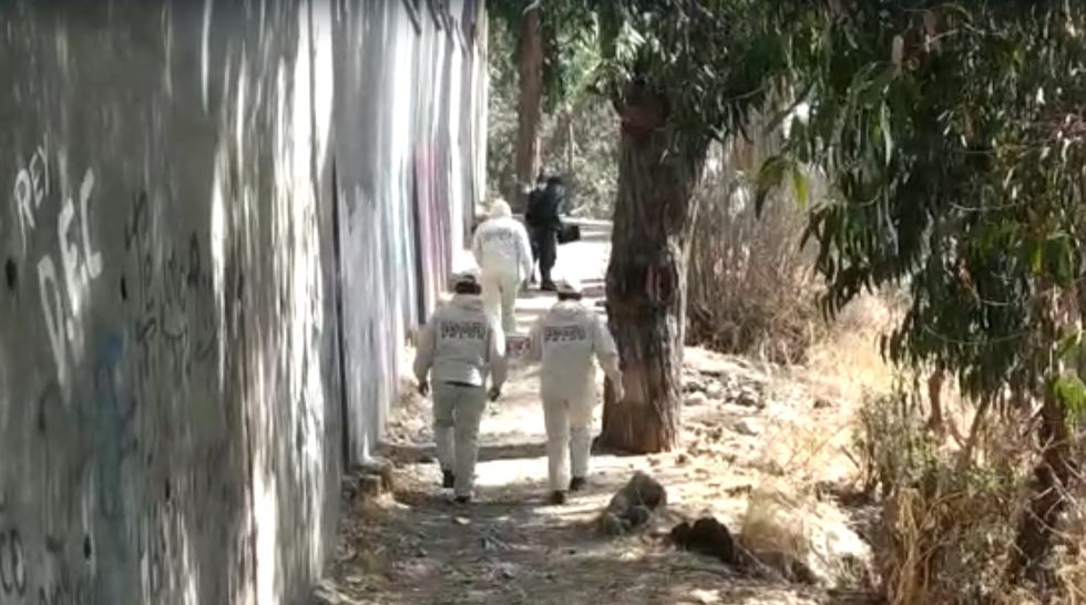 La Fiscalía investiga el hallazgo de una bebé en descomposición en un bosquecillo en La Paz