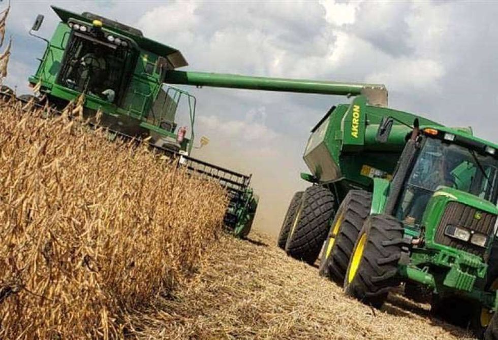 Exportación agropecuaria crece un 38% en octubre