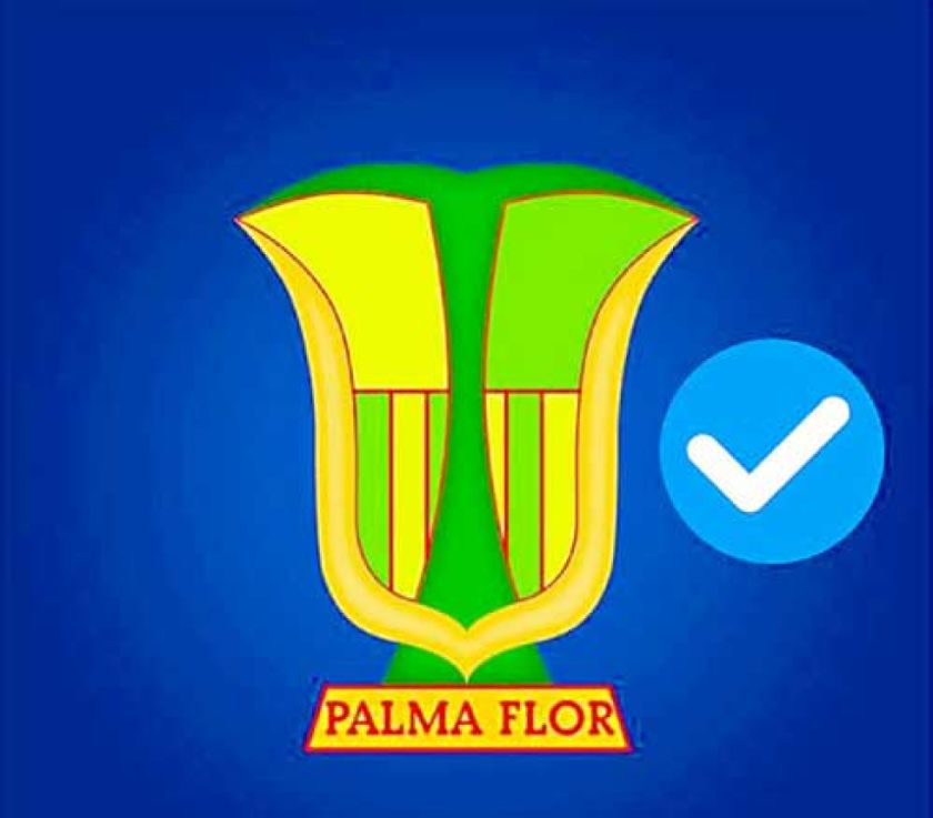 Palmaflor no pudo  cambiar de escudo  ni nombre