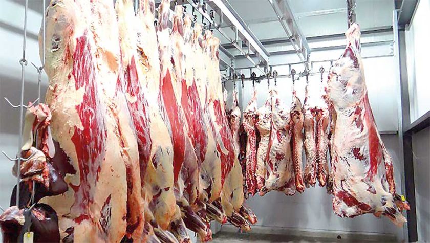 Ante conflicto, el Gobierno asegura provisión de carne