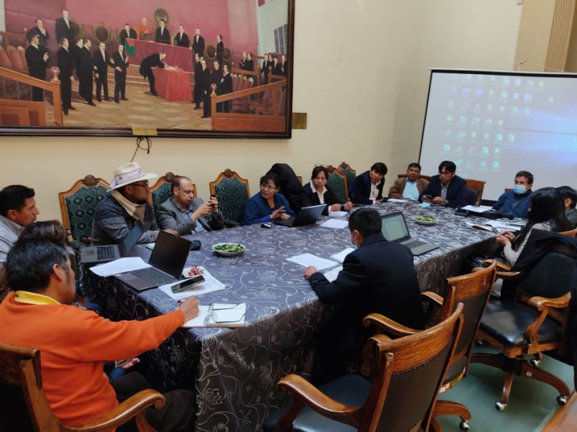 Potosí y Oruro definen distribución de las regalías del litio