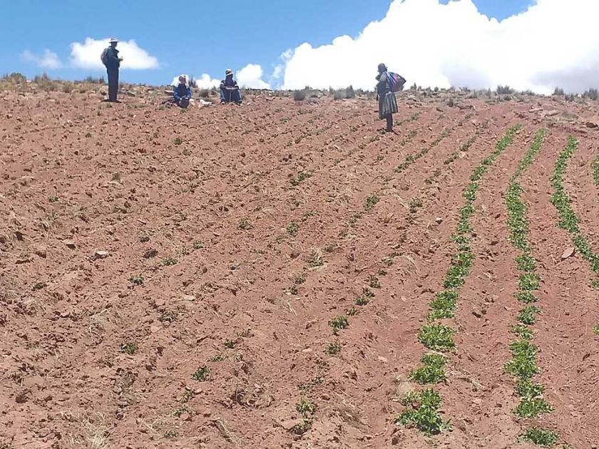 Potosí no descarta declararse en zona de desastre natural