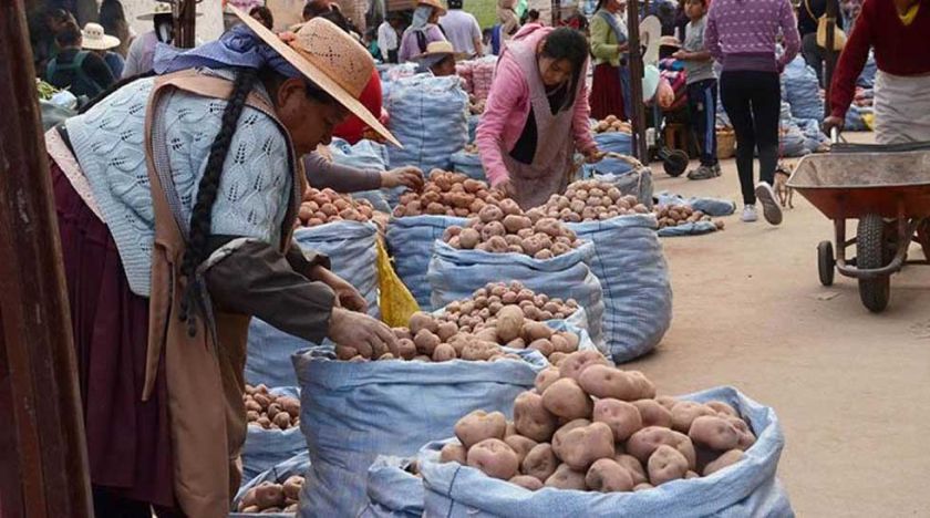 La crisis política y social de Perú afecta a la economía de Potosí