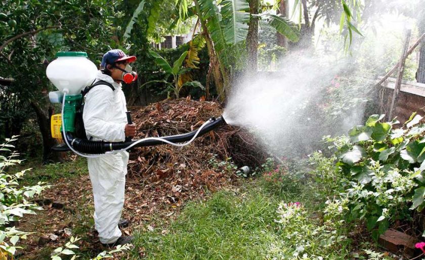 Santa Cruz suma 12 fallecidos con los síntomas de dengue