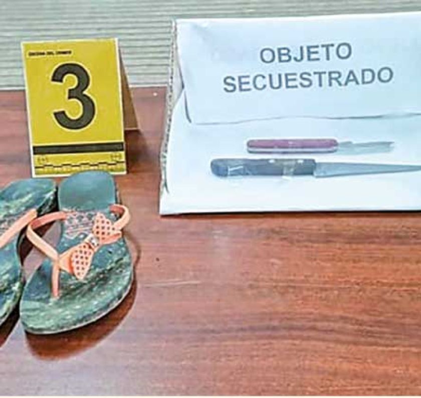 El Alto: Joven confiesa  que asesinó a su pareja 
