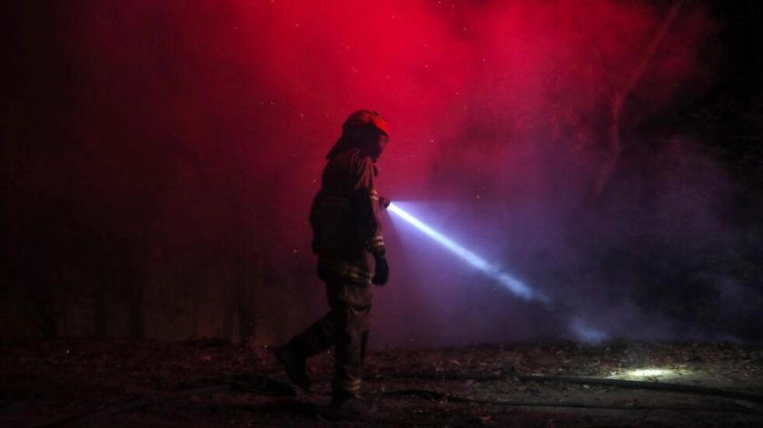 Decretan toque de queda en municipios afectados por incendios en Chile