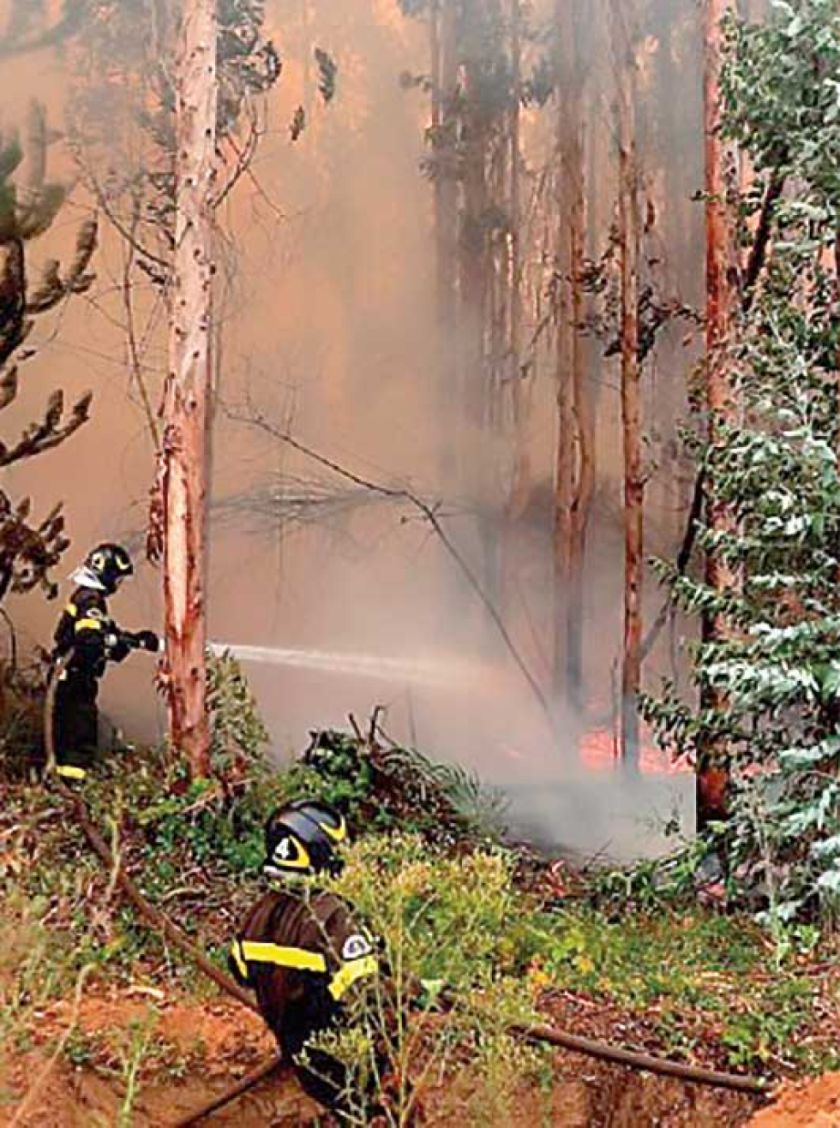 Decretan toque de queda en zonas de los incendios 