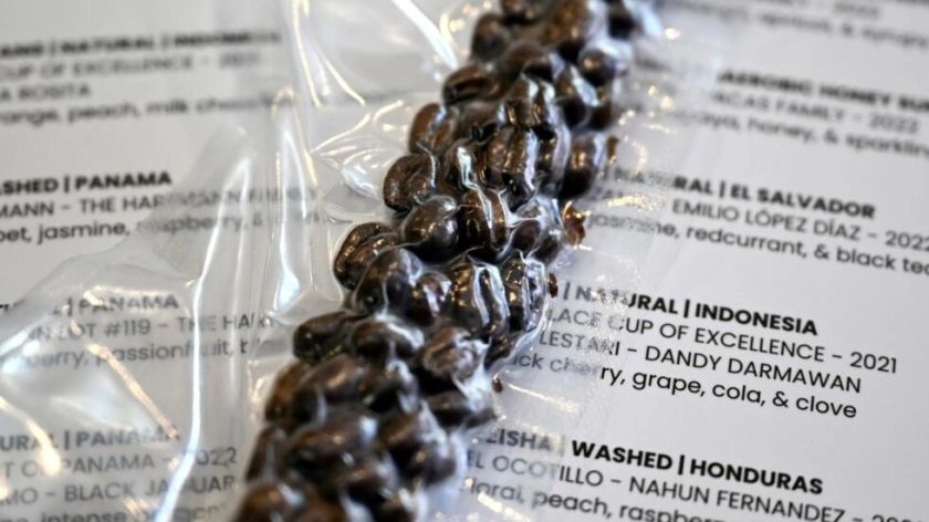 Una cafetería en Australia vende café panameño a 140 dólares la taza