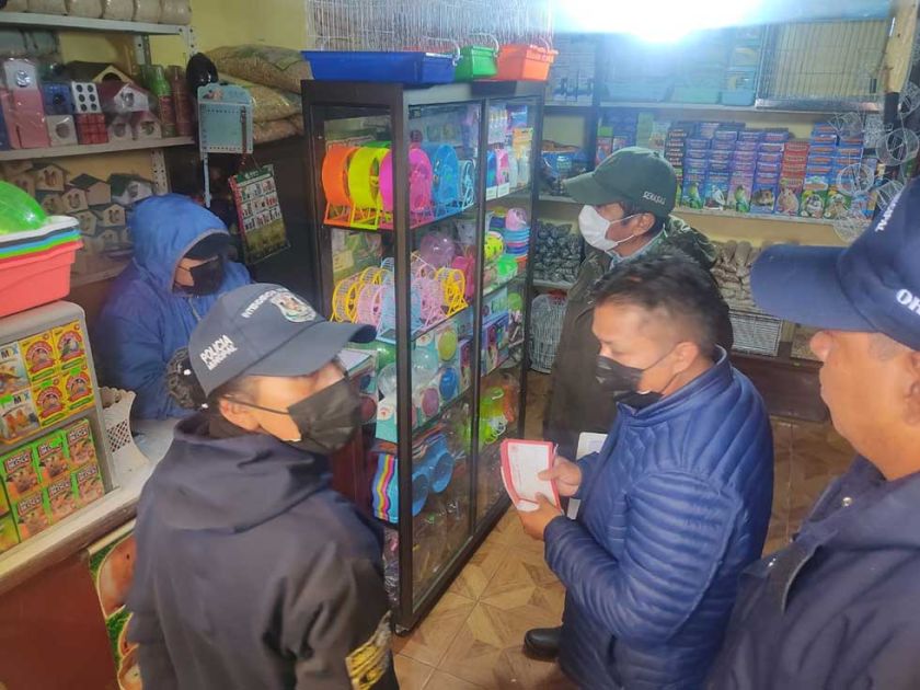 Prohíben venta de aves en Potosí para evitar brote de la gripe aviar