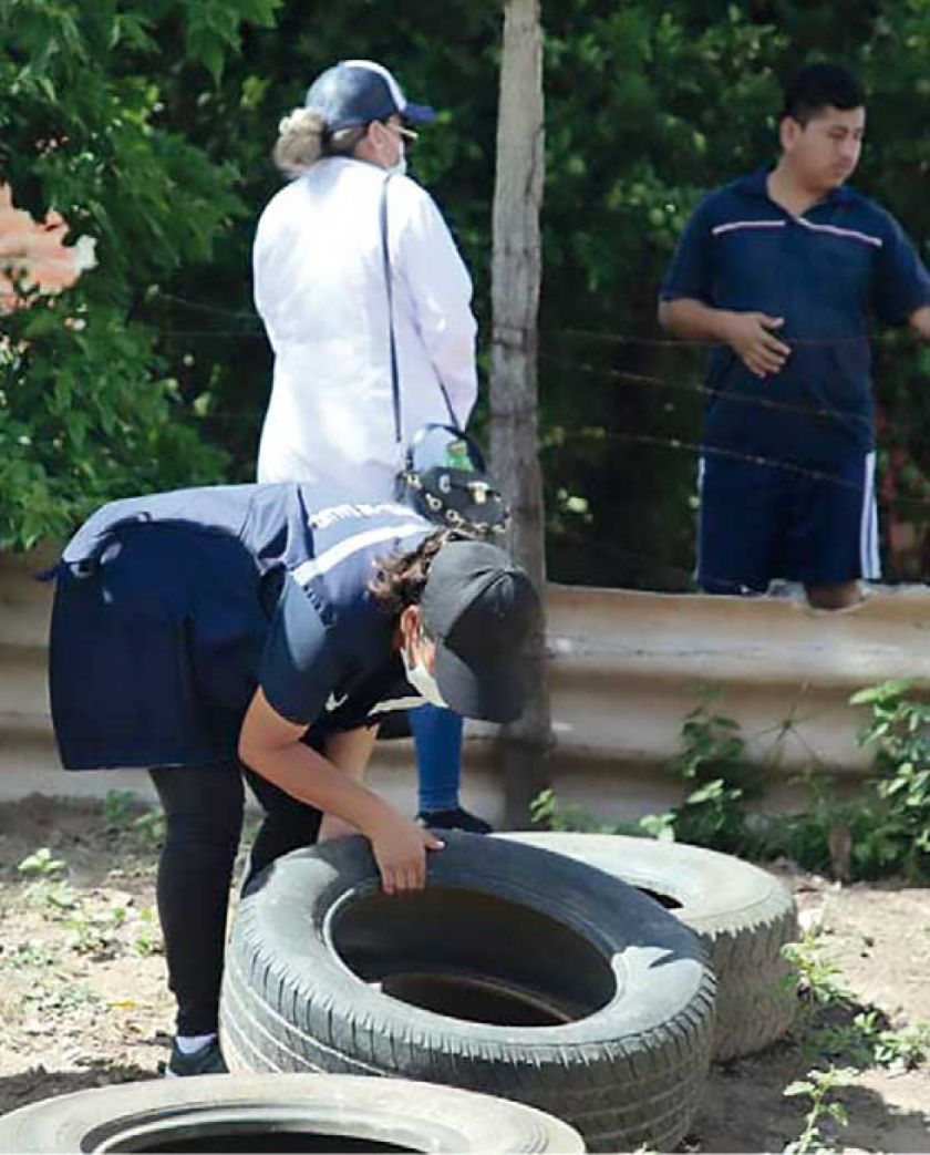 Santa Cruz: Identifican 557 sospechosos de dengue en ‘gran minga’