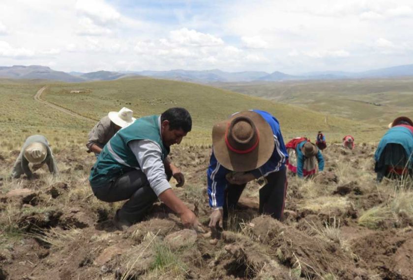 Declaran emergencia por sequía en San Pedro de Buena Vista