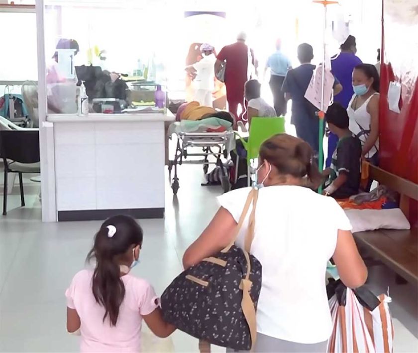 Dengue: Tres bebés mueren en 48 horas