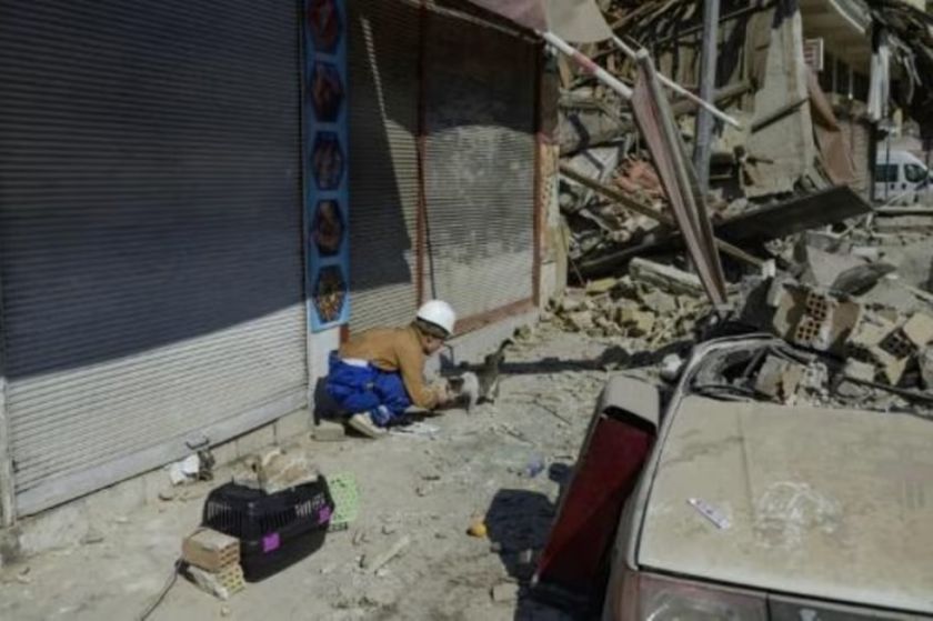 Entre ruinas en una ciudad turca, sus habitantes se consuelan salvando animales