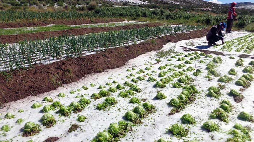 Los desastres naturales afectan a más de 31.000 familias en Potosí