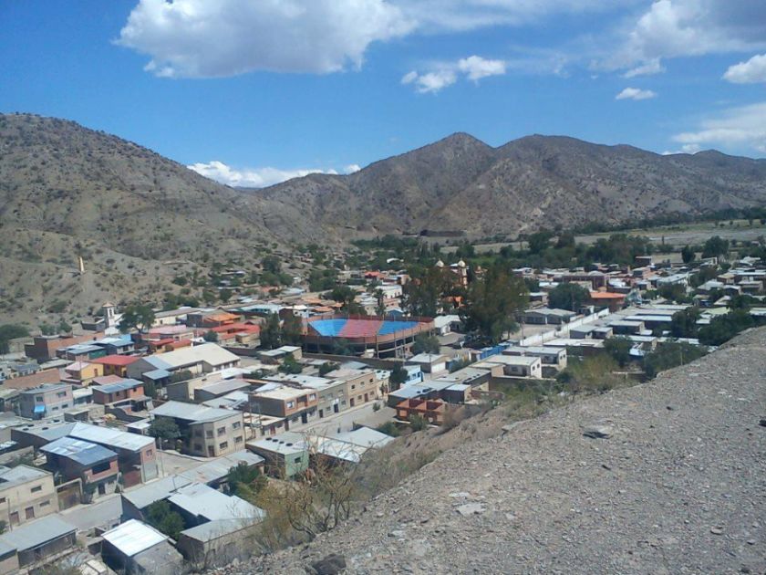 La gripe aviar llegó hasta Cotagaita