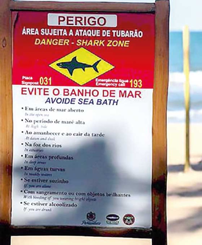 Ataques de tiburones en playa brasileña 