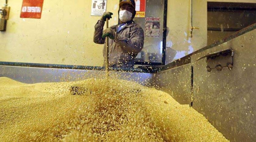 Ultiman detalles para la planta  industrializadora de quinua
