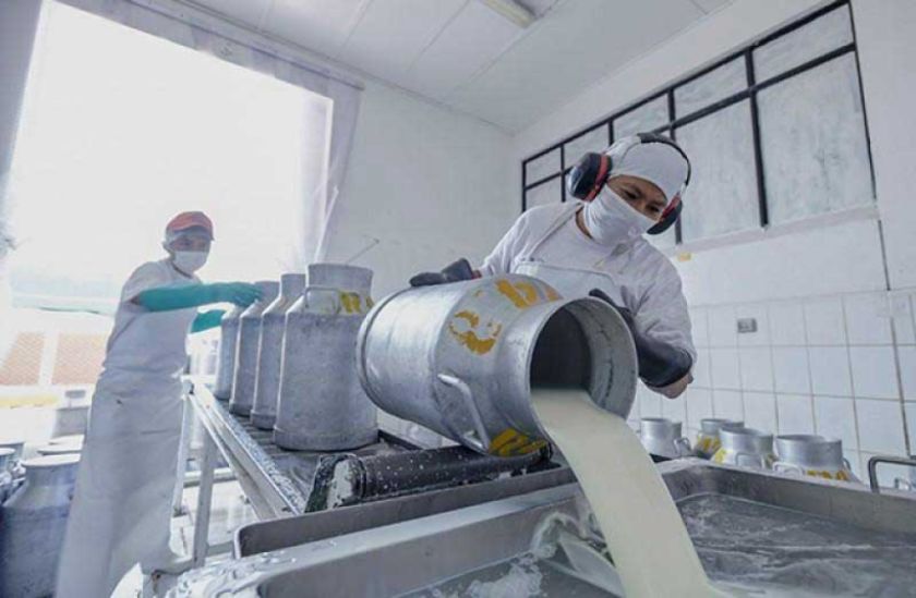 Planta Pil Potosí procesa cerca de 3.000 litros de leche diaria