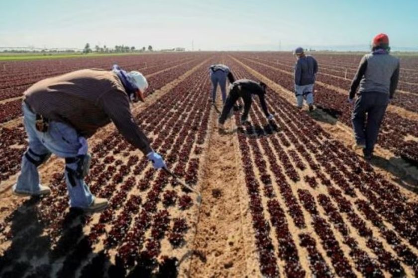 Agricultores del desértico sur de California, en el punto de mira por la guerra del agua