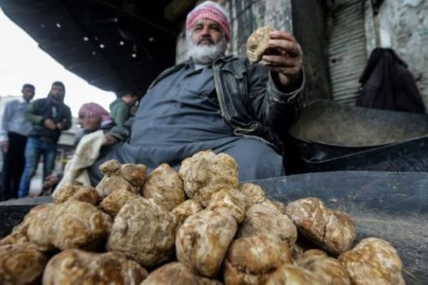 Yihadistas del grupo Estado Islámico matan a 15 recolectores de trufas en Siria