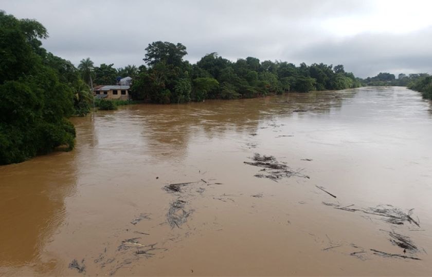 Cobija se declara en alerta roja ante crecida y desborde del río Acre