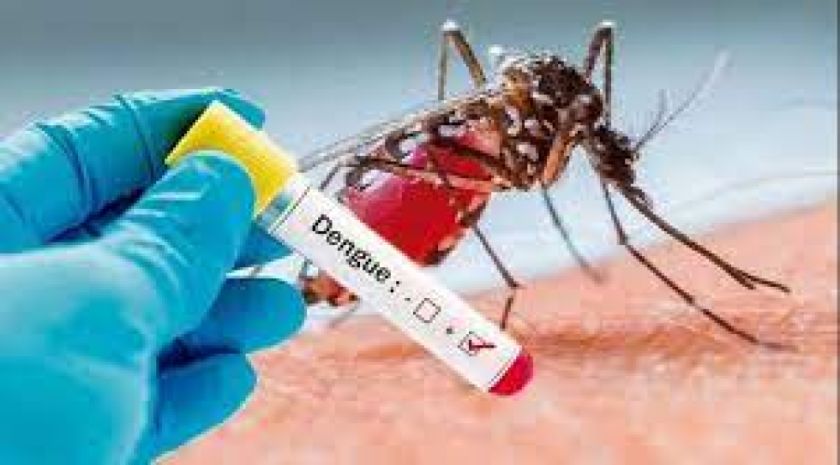 Perú reporta más de 62.000 casos de posible dengue en lo que va de 2023