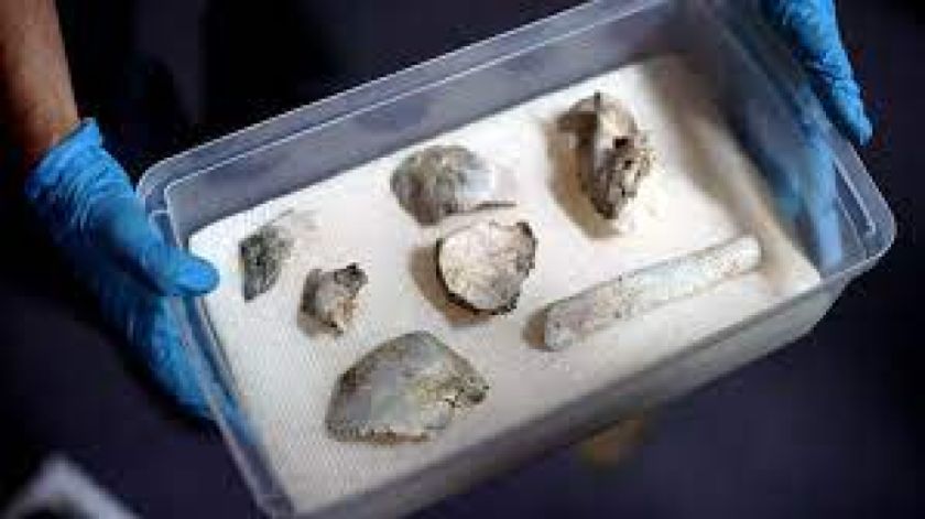 Hallan fósil humano que puede tener 12.000 años en la zona central de Brasil