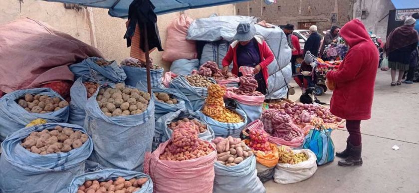 Confirman la estabilidad de precios de productos de la canasta familiar