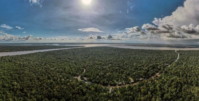 La deforestación en la Amazonía brasileña se redujo un 67,9 % en abril