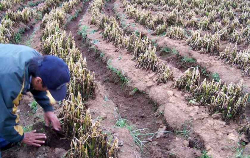 Betanzos busca asistir a familias afectadas por desastres naturales