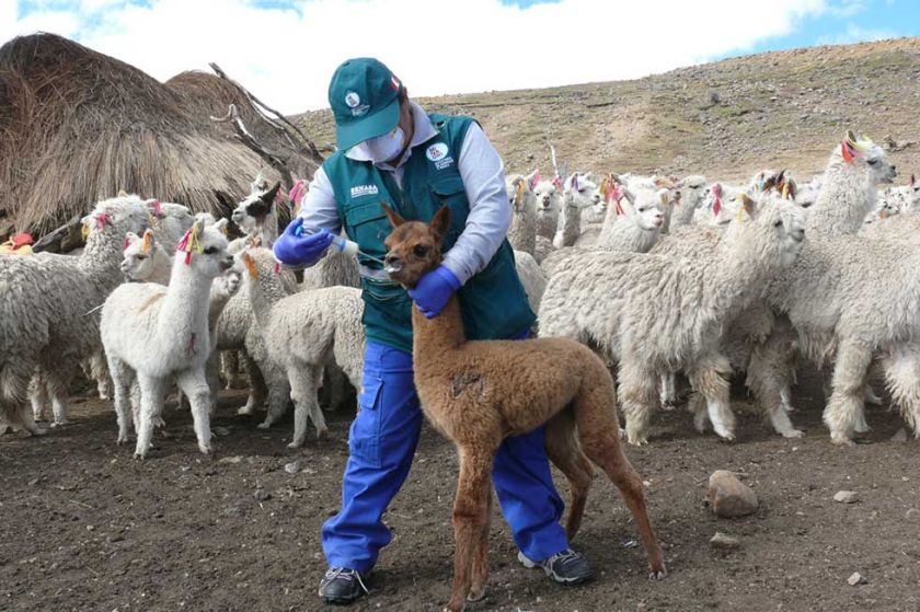 Advierten que las temperaturas seguirán descendiendo en Potosí