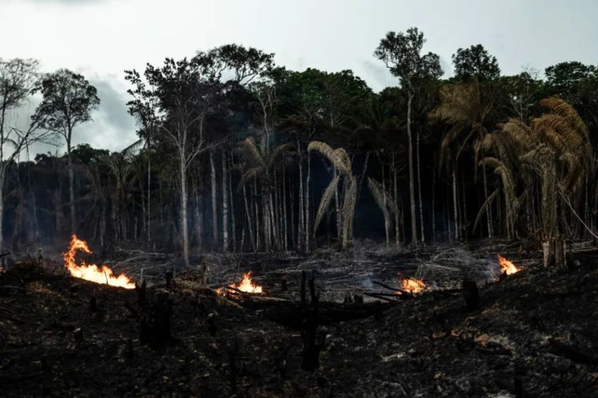 Los incendios en la Amazonía brasileña se disparan un 120 % en mayo