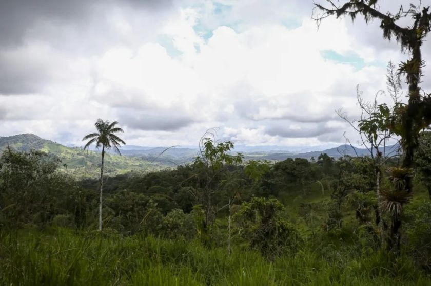 El “paraíso” del Chocó Andino de Ecuador tendrá su plebiscito para desterrar a la minería